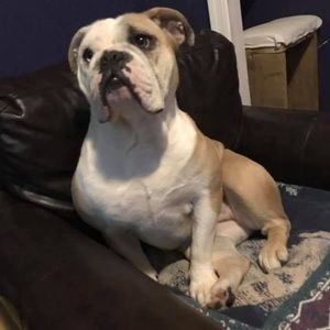 Meet your Posher, Kevin